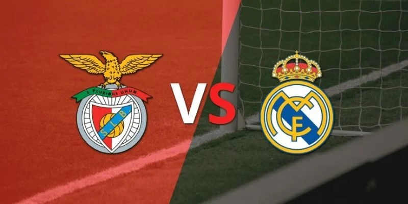 Soi kèo Benfica vs Real Madrid, 3h ngày 29/01 - Cúp C1 2 Soi kèo Benfica vs Real Madrid, 3h ngày 29/01 – Cúp C1