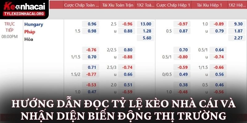 Tỷ Lệ Kèo Nhà Cái 5 ⭐️ Bảng Kèo Bóng Đá Trực Tuyến Hôm Nay 16 Hướng dẫn đọc tỷ lệ kèo nhà cái và nhận diện biến động thị trường